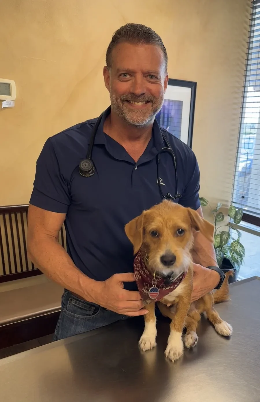 Dr. Steve Pelton in his exam room, stethoscope around his neck, holding a small terrier on the table.